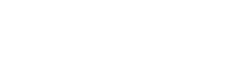 Bigo Solutions